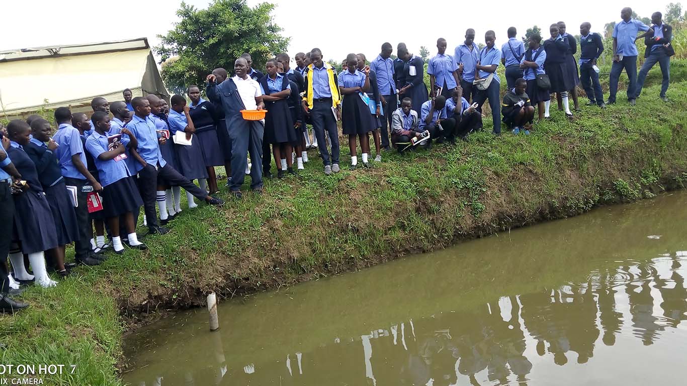 Consultancy Services 1 at Wole Mixed Farm