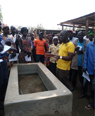 Consultancy Services 2 at Wole Mixed Farm