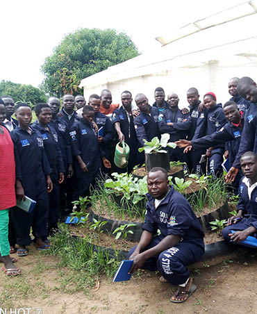 Consultancy Services 3 at Wole Mixed Farm