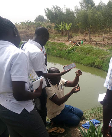 Fish Farming 1 at Wole Mixed Farm