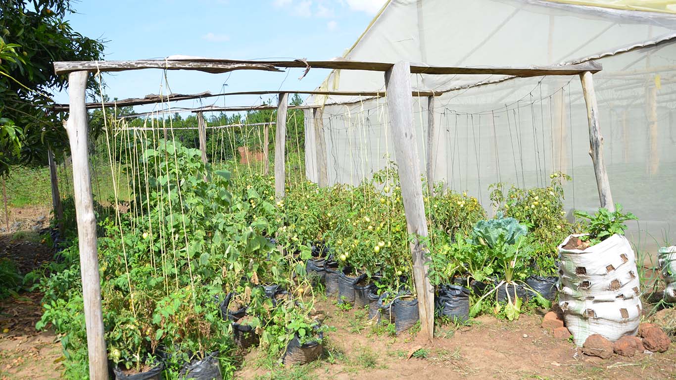 Horticulture 2 at Wole Mixed Farm