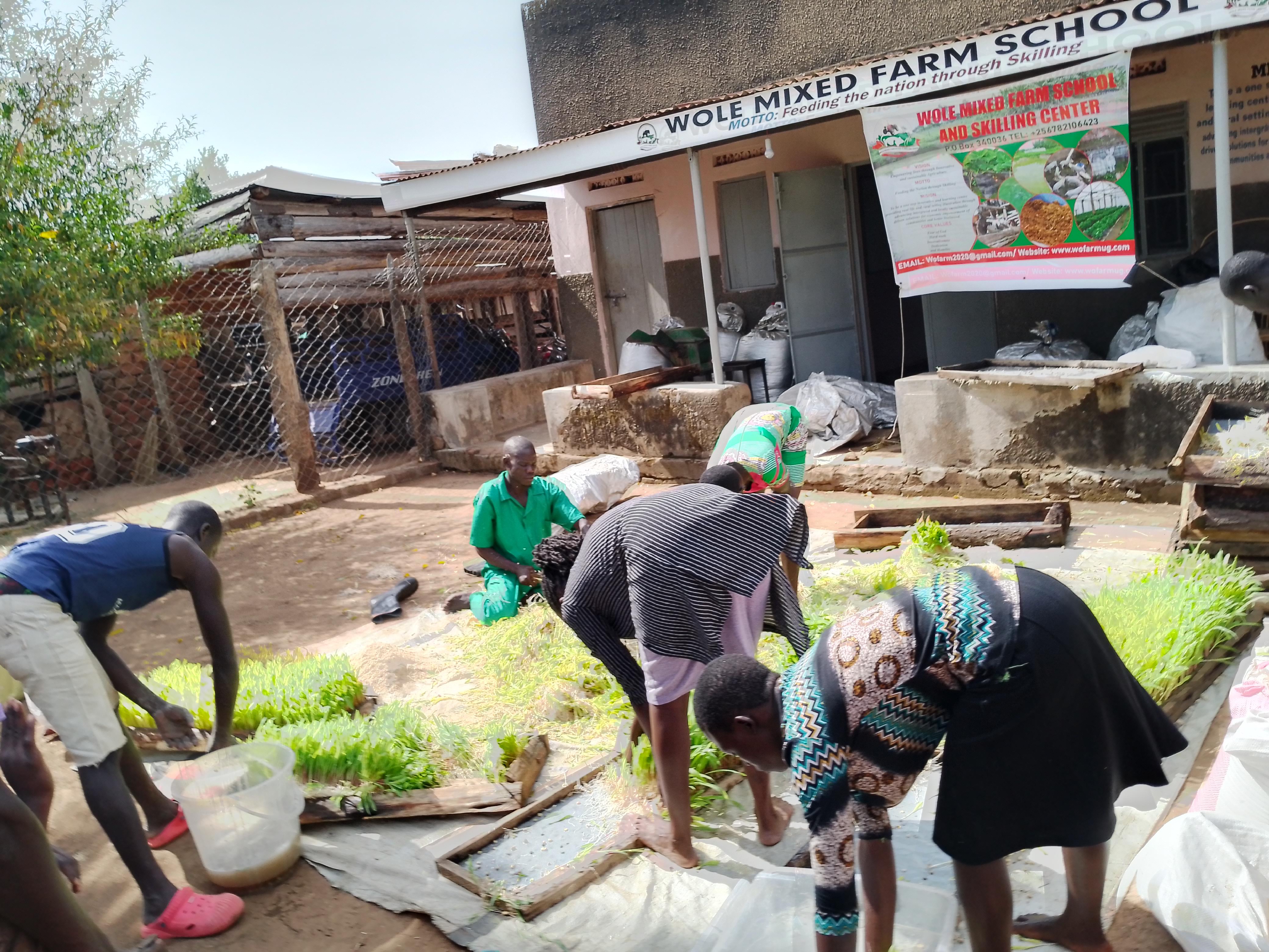 School Banner at Wole Mixed Farm